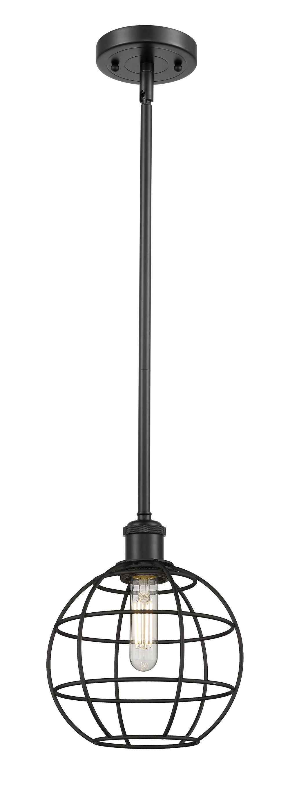 Innovations Lighting Lake Placid 8" Mini Pendant - Matte Black