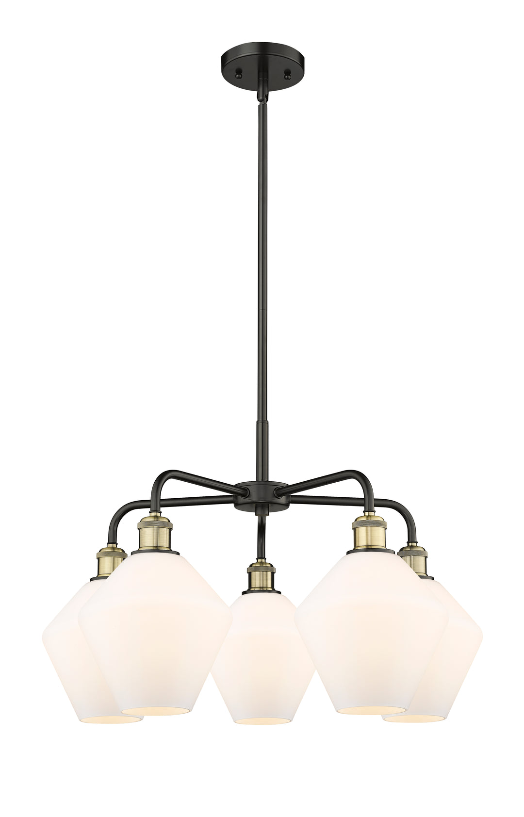 Innovations Lighting Cindyrella 8" Chandelier - Black Antique Brass