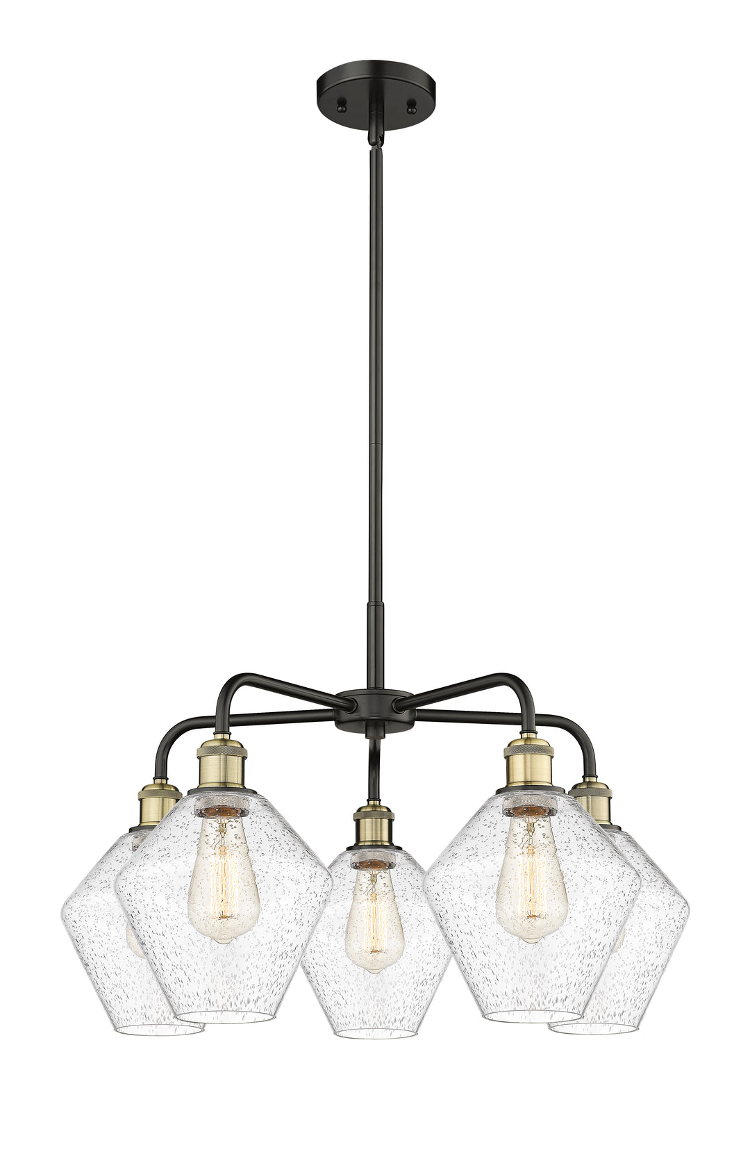 Innovations Lighting Cindyrella 8" Chandelier - Black Antique Brass