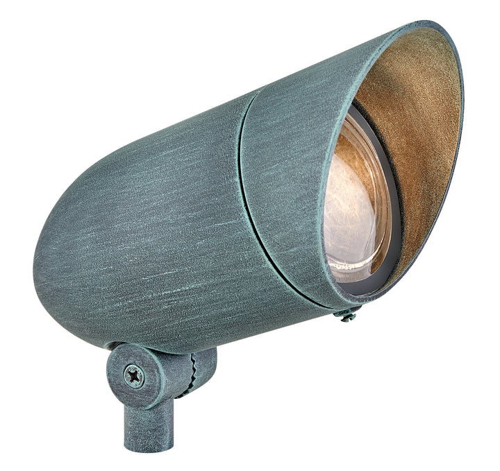 Hinkley Accent Spot Light