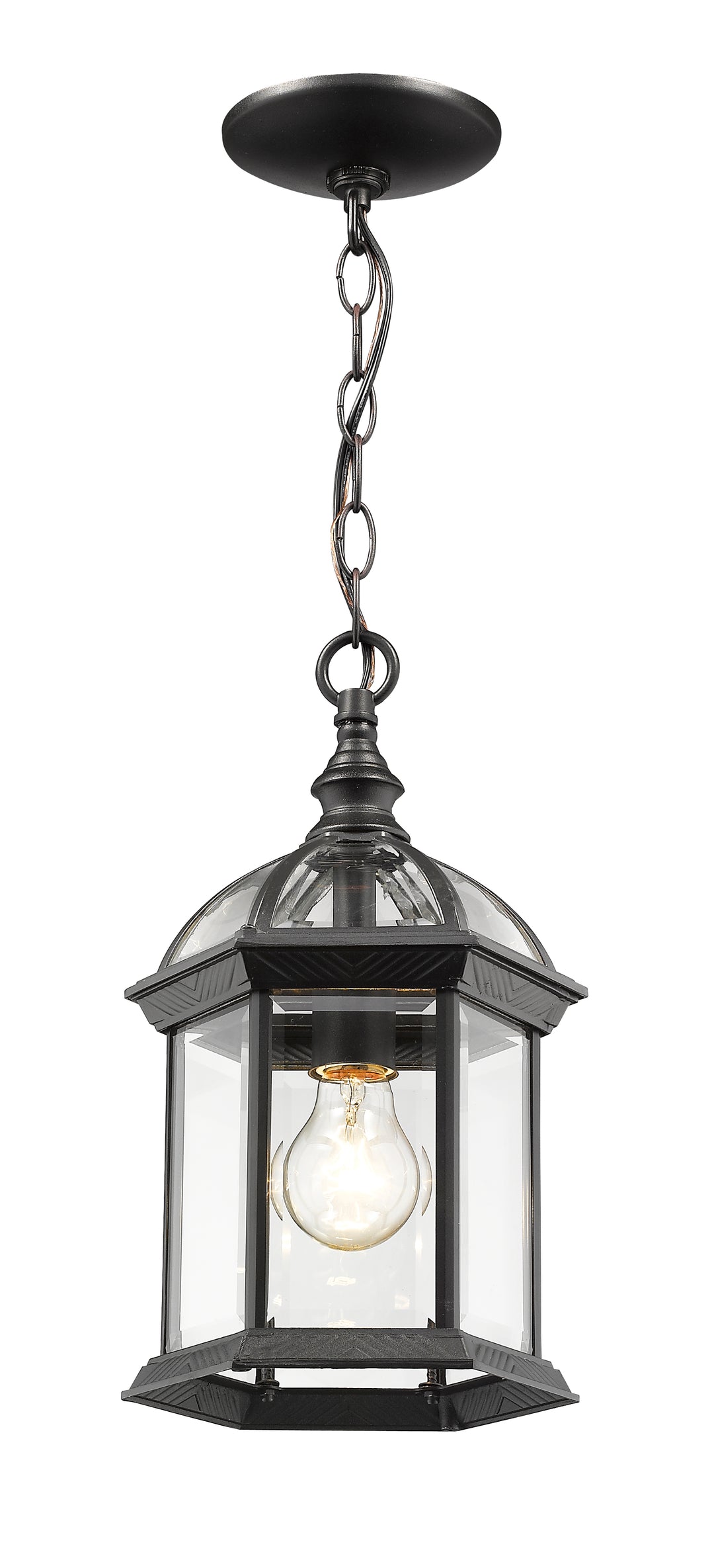 Z-Lite Annex 563CHM-BK 1 Light Outdoor Chain Mount Ceiling Fixture