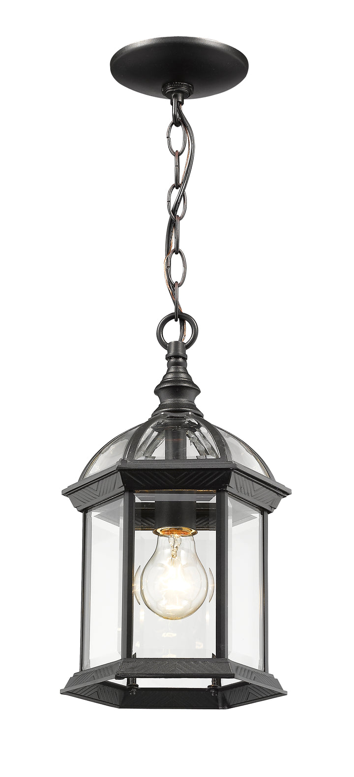 Z-Lite Annex 563CHM-BK 1 Light Outdoor Chain Mount Ceiling Fixture