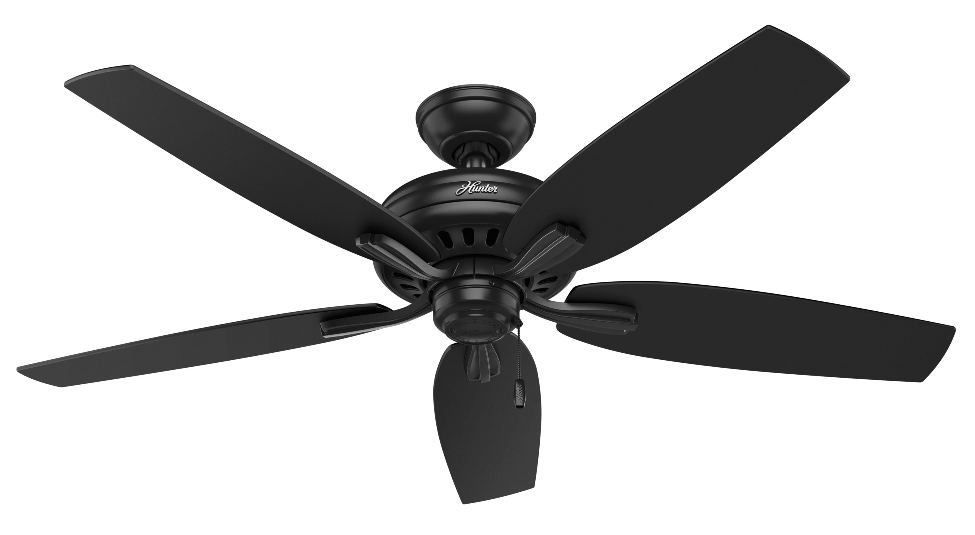 Hunter 52 inch Newsome Damp Rated Ceiling Fan and Pull Chain