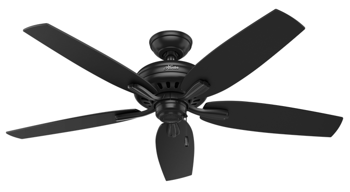 Hunter 52 inch Newsome Damp Rated Ceiling Fan and Pull Chain