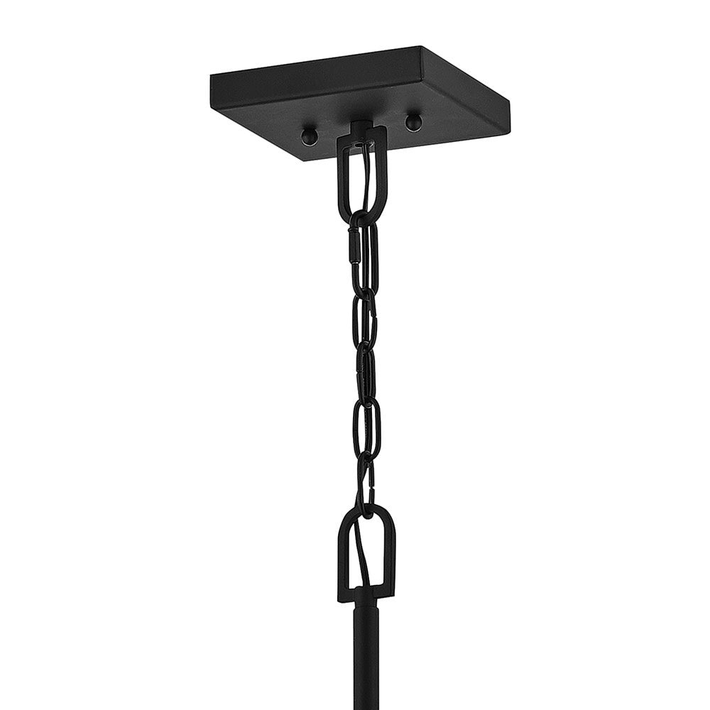 Hinkley Max Outdoor Hanging Light