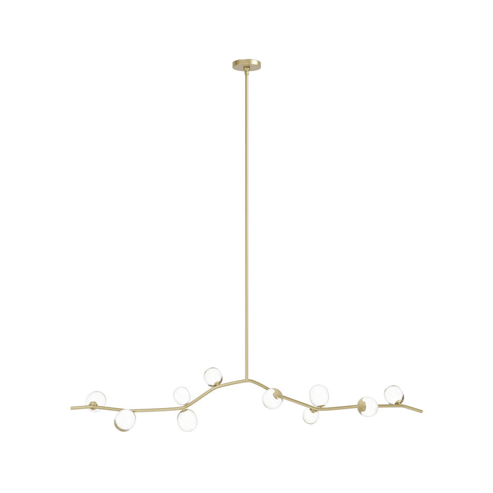 Avenue Lighting Hampton 10-Light 74"W Chandelier HF4810-CLR in Brushed Brass/Clear Glass