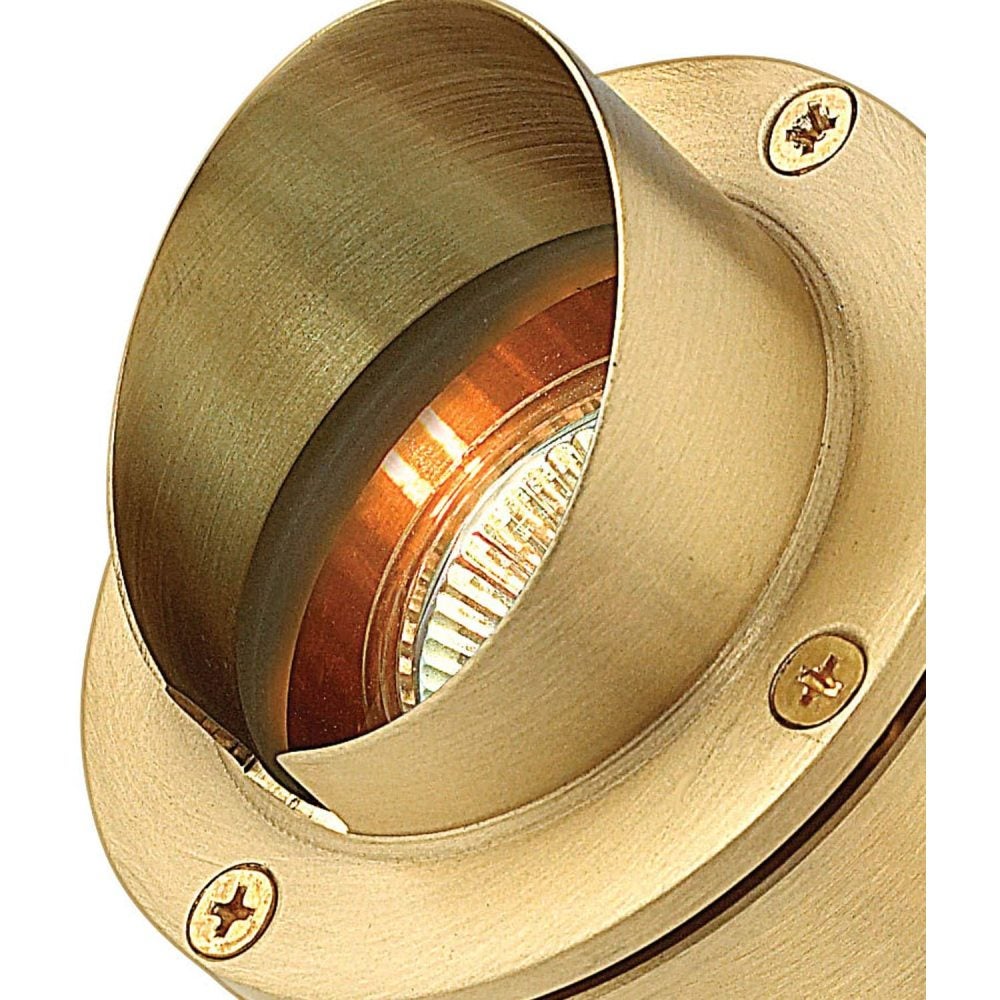 Hinkley Accent Pond Light
