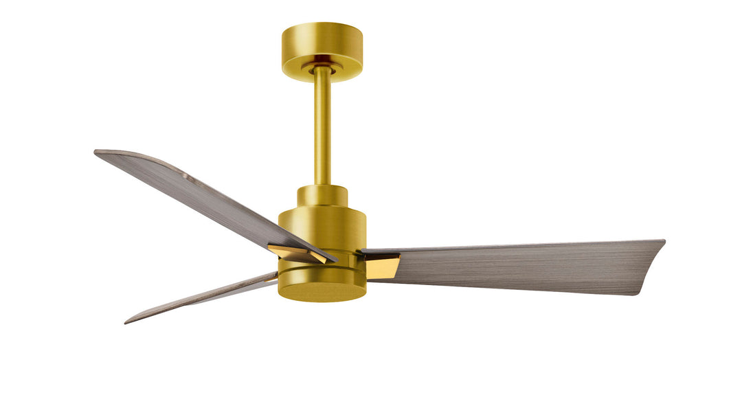 Matthews Fan Company Alessandra - 56" Indoor Ceiling Fans Matthews Fan Company Brushed Brass Gray Ash No