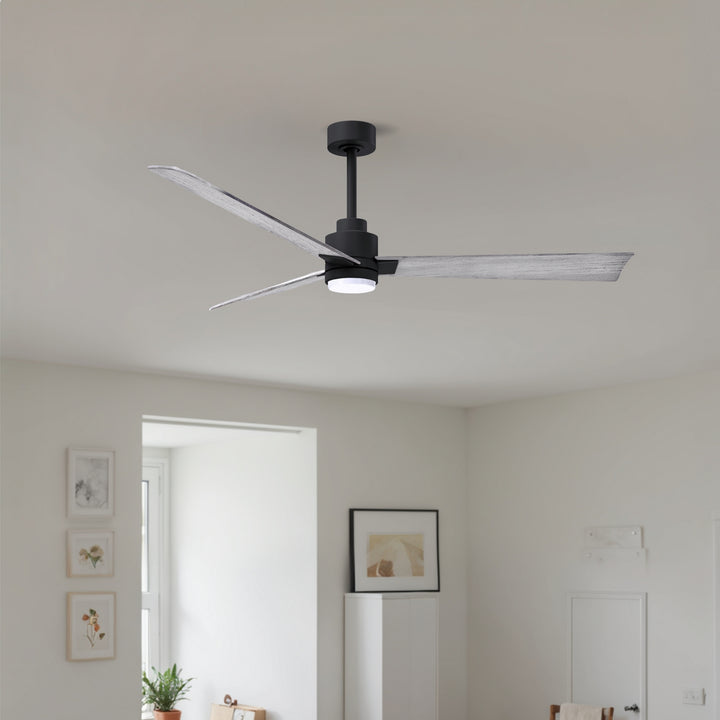 Matthews Fan Company Alessandra - 56"