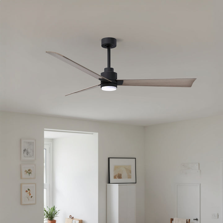 Matthews Fan Company Alessandra - 56"
