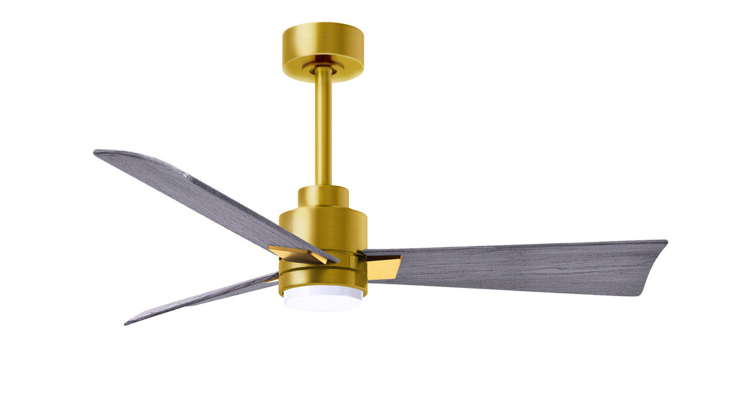 Matthews Fan Company Alessandra - 56" Indoor Ceiling Fans Matthews Fan Company Brushed Brass Barn Wood Yes