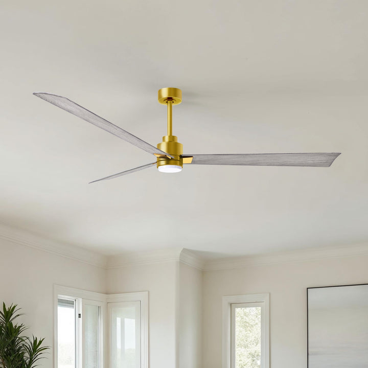 Matthews Fan Company Alessandra - 72"