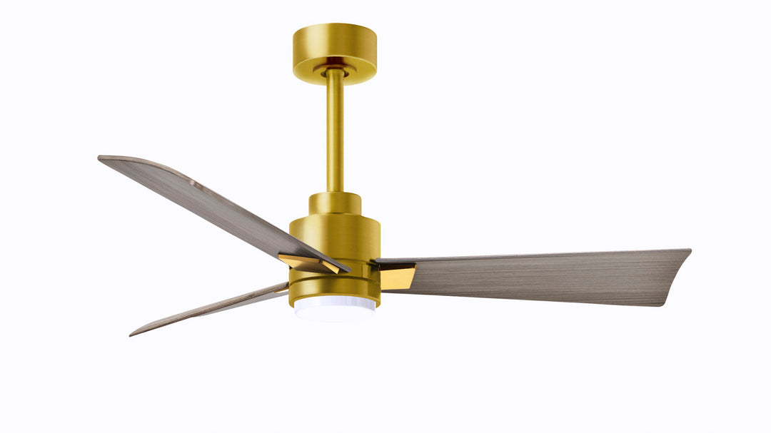 Matthews Fan Company Alessandra - 56" Indoor Ceiling Fans Matthews Fan Company Brushed Brass Gray Ash Yes