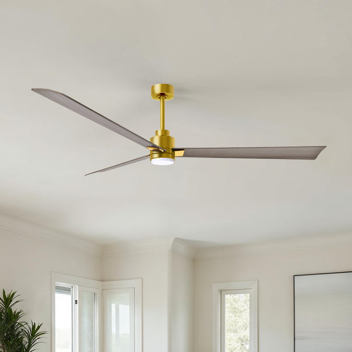 Matthews Fan Company Alessandra - 72"