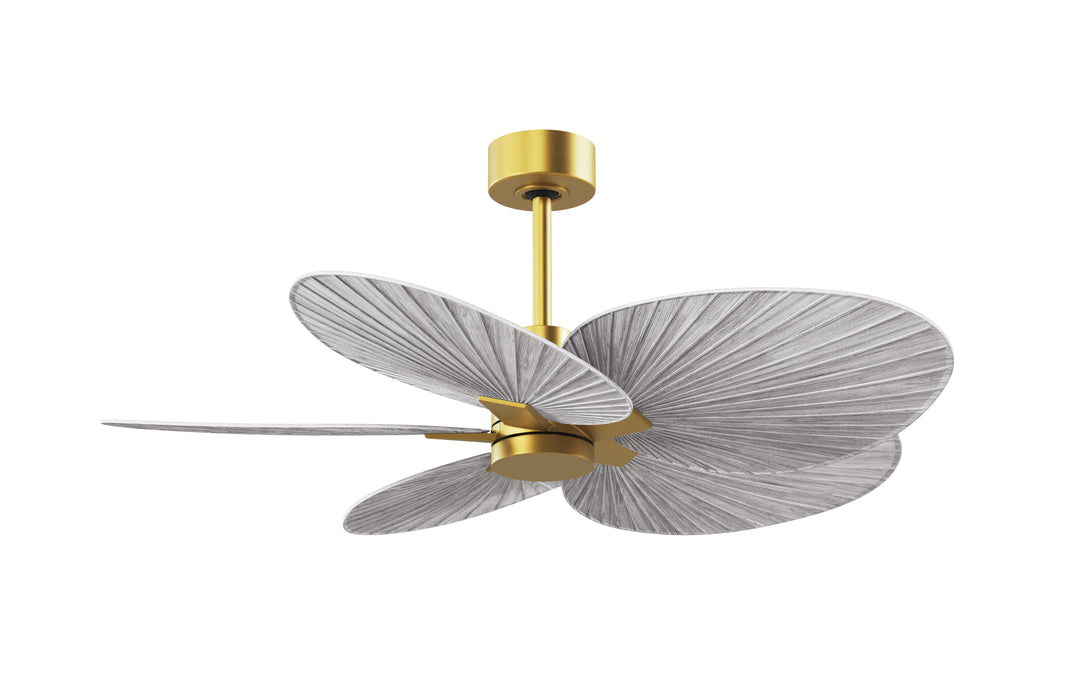 Matthews Fan Company Alessandra Tropical - 48"