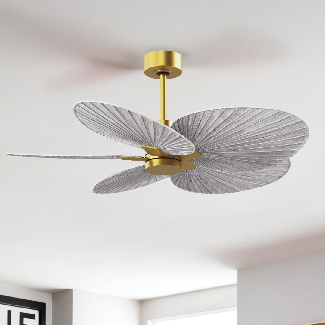 Matthews Fan Company Alessandra Tropical - 48"