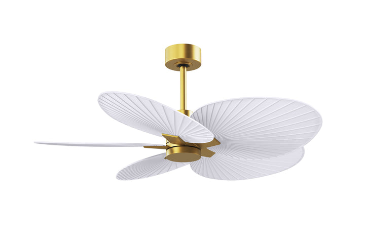 Matthews Fan Company Alessandra Tropical - 48"