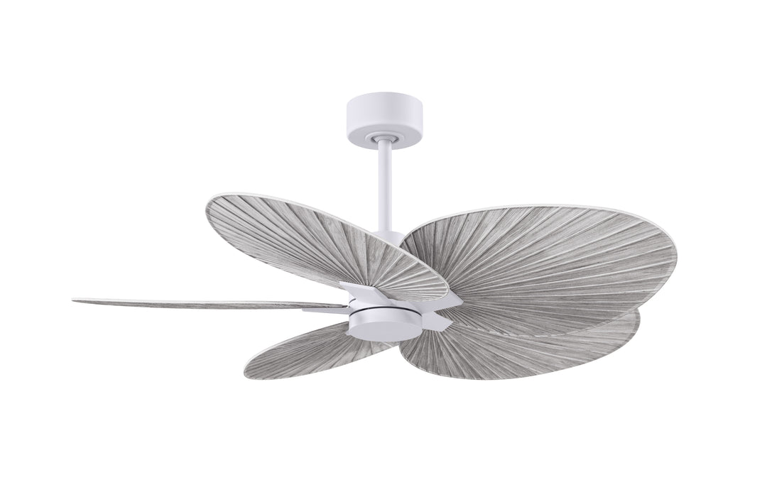 Matthews Fan Company Alessandra Tropical - 48"