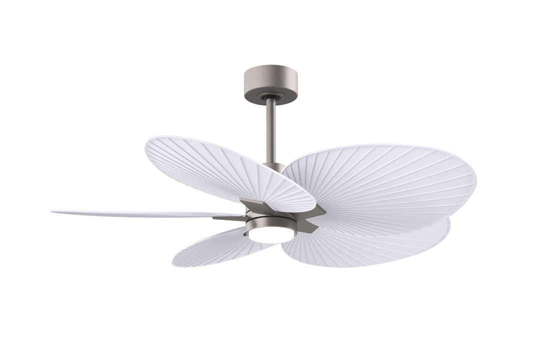 Matthews Fan Company Alessandra Tropical - 48"