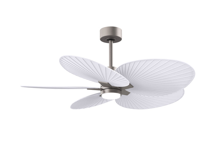 Matthews Fan Company Alessandra Tropical - 48"