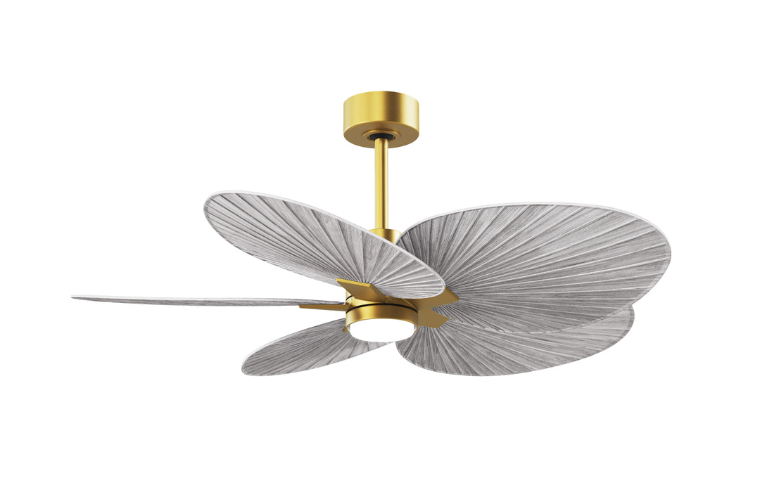 Matthews Fan Company Alessandra Tropical - 48"
