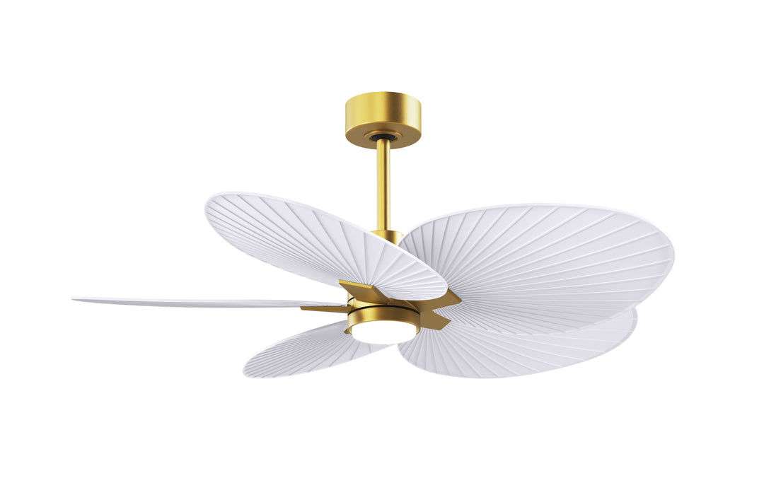 Matthews Fan Company Alessandra Tropical - 48"