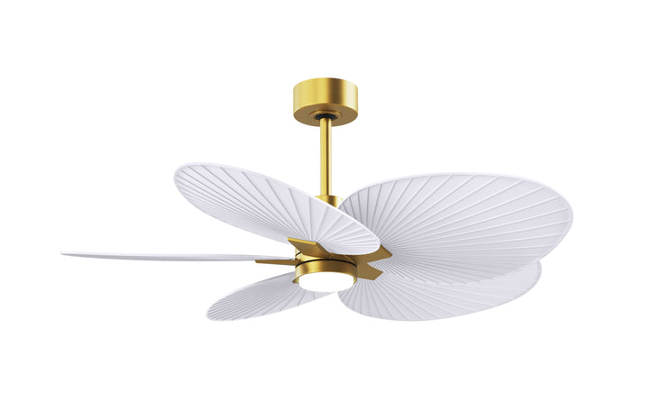 Matthews Fan Company Alessandra Tropical - 48"