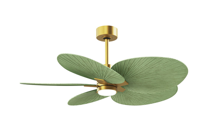 Matthews Fan Company Alessandra Tropical - 48"