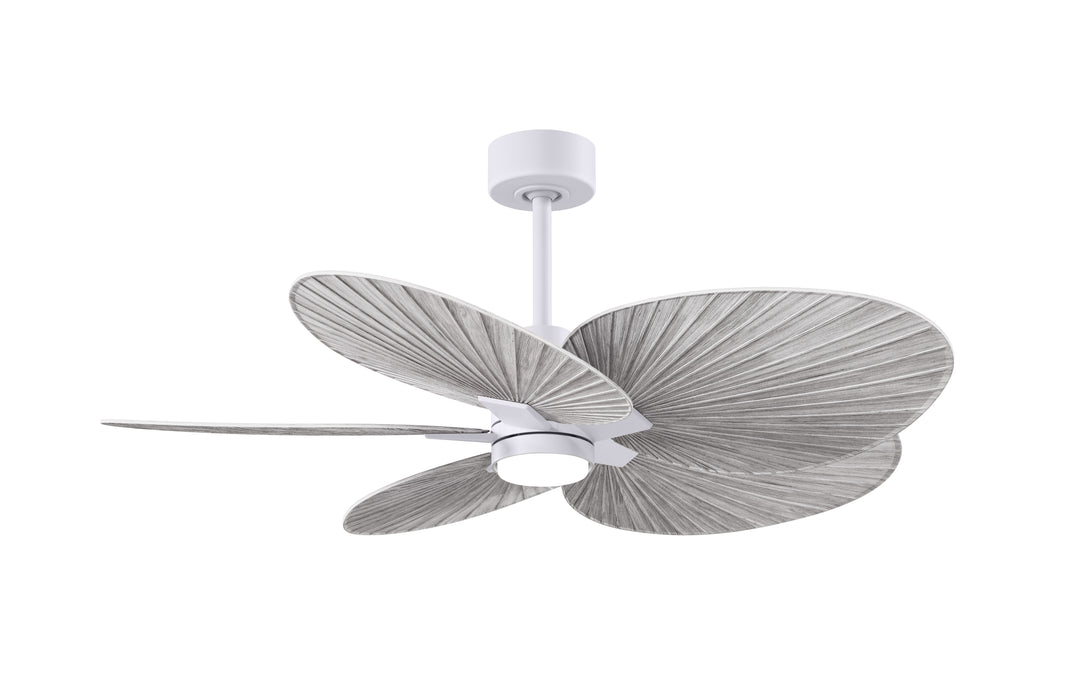 Matthews Fan Company Alessandra Tropical - 48"