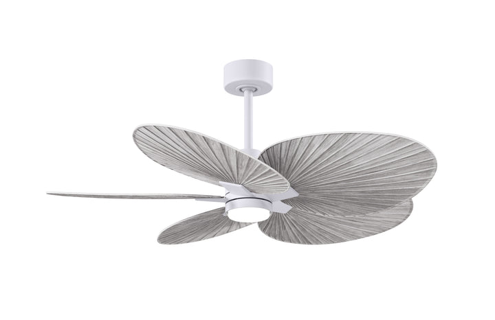 Matthews Fan Company Alessandra Tropical - 48"