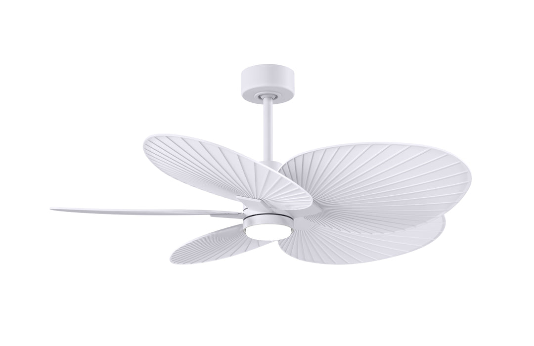 Matthews Fan Company Alessandra Tropical - 48"