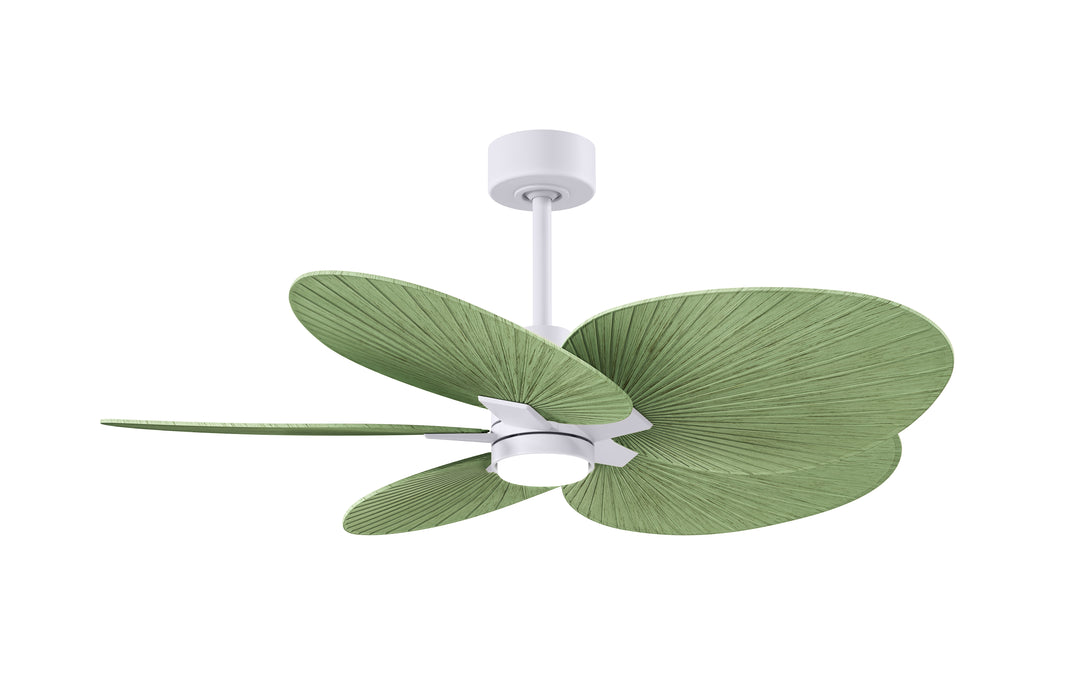 Matthews Fan Company Alessandra Tropical - 48"