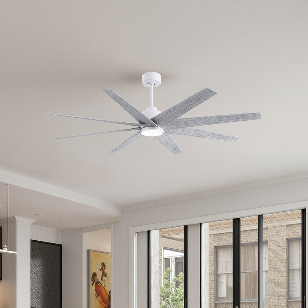 Matthews Fan Company Ariella - LK 64" Ceiling Fan