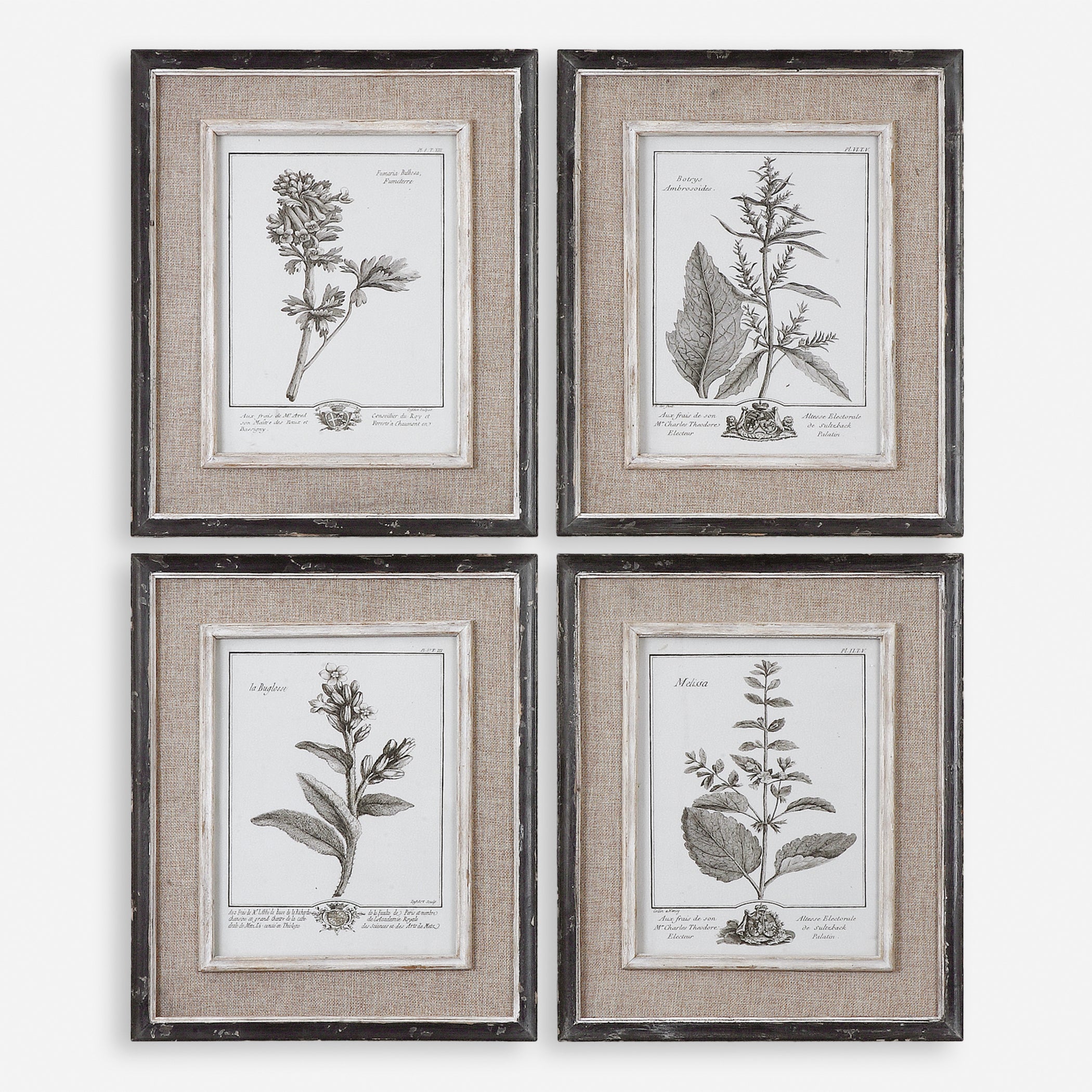 Uttermost Casual Grey Study Floral Art