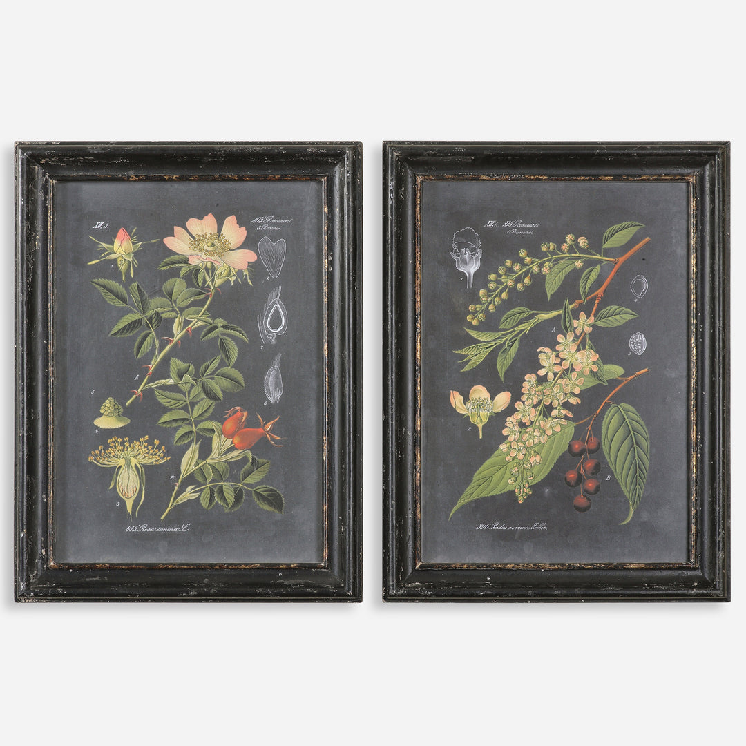 Uttermost Midnight Botanicals Wall Art