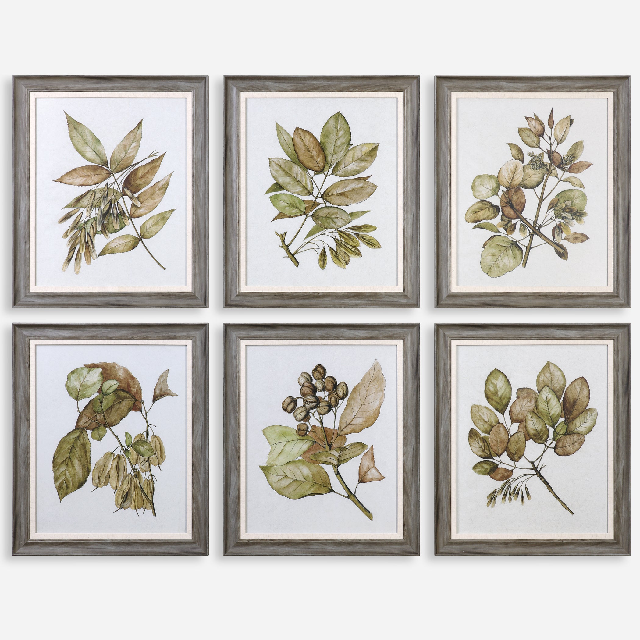 Uttermost Seedlings Framed Prints