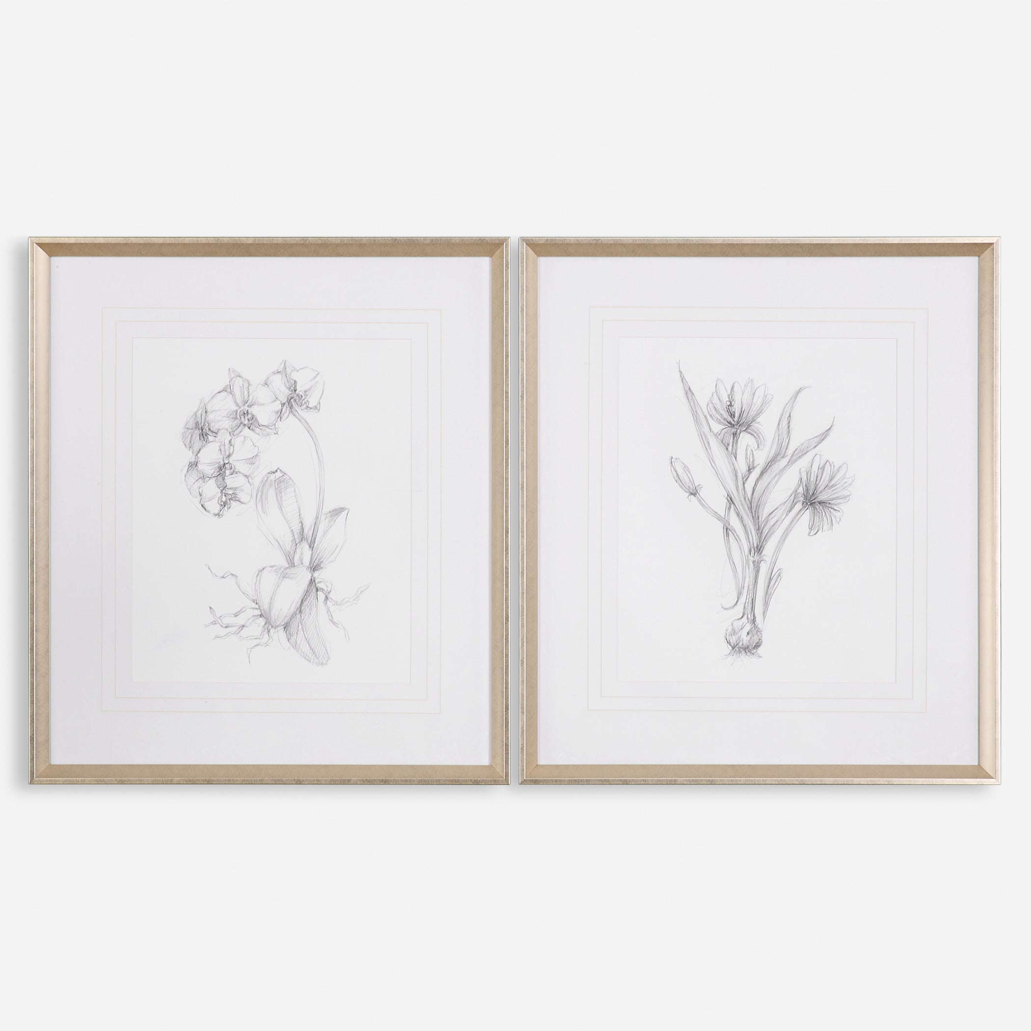 Uttermost Botanical Sketches Floral Prints