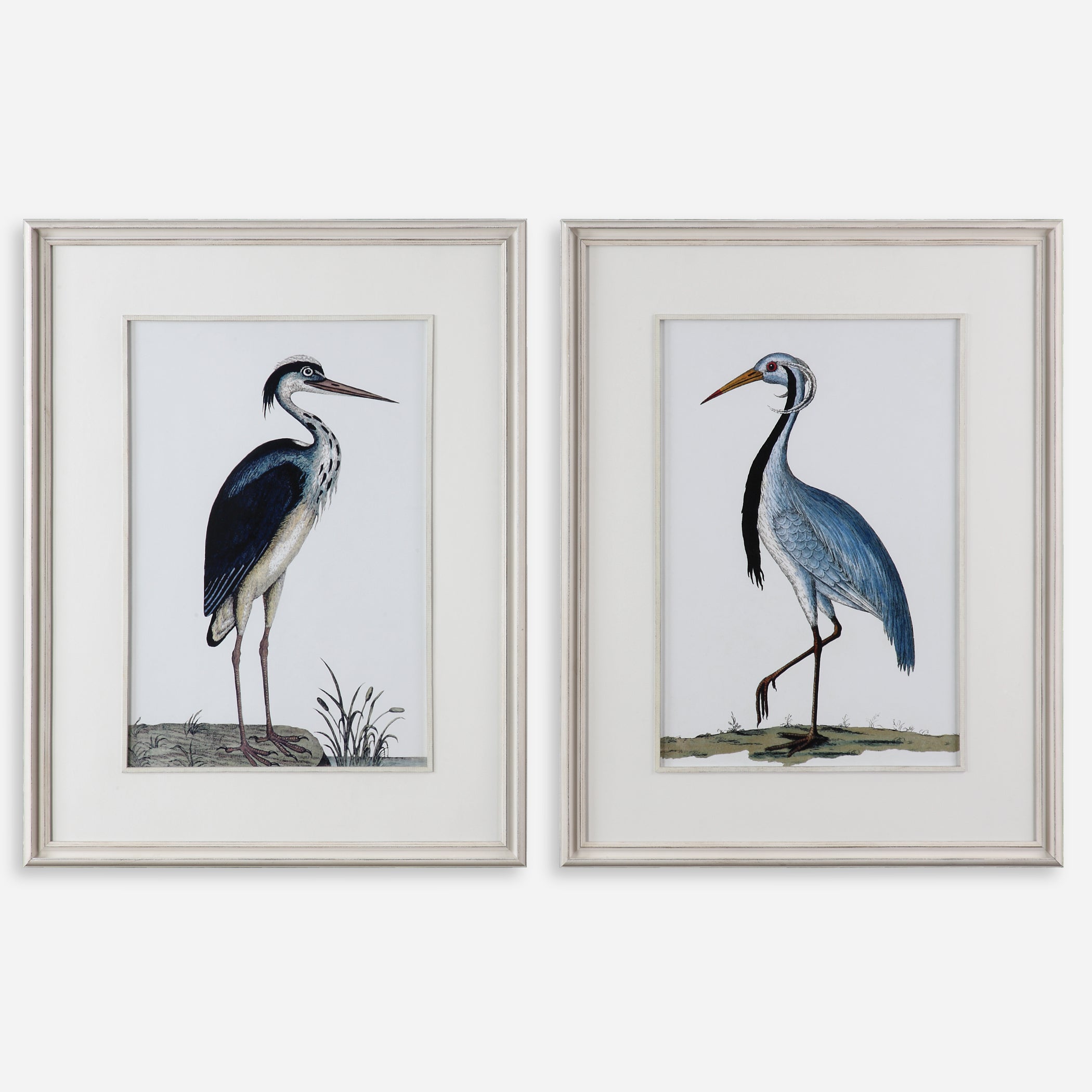 Uttermost Shore Birds Framed Prints S/2 Décor/Home Accent Uttermost   