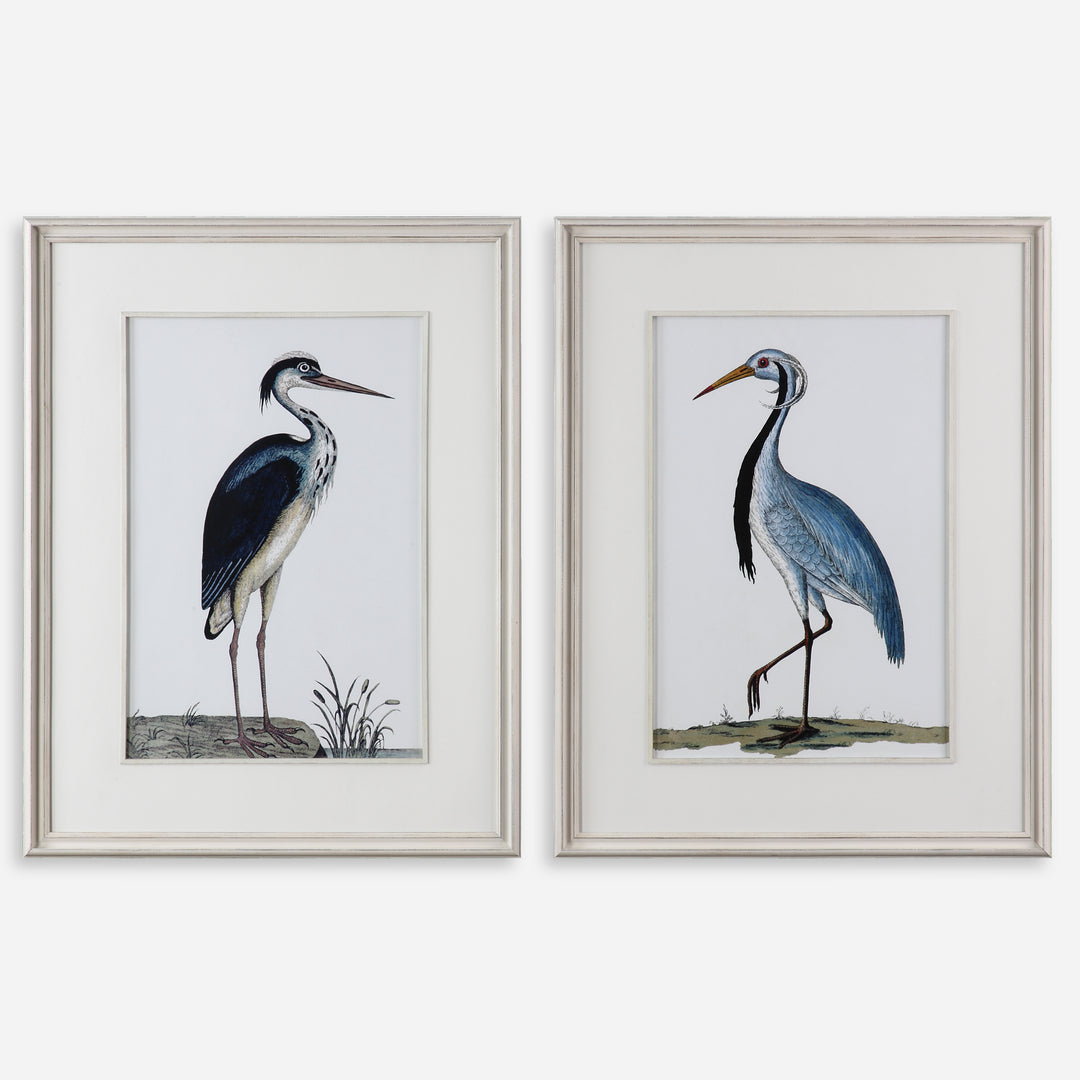 Uttermost Shore Birds Framed Bird Prints Wall Decor Uttermost   