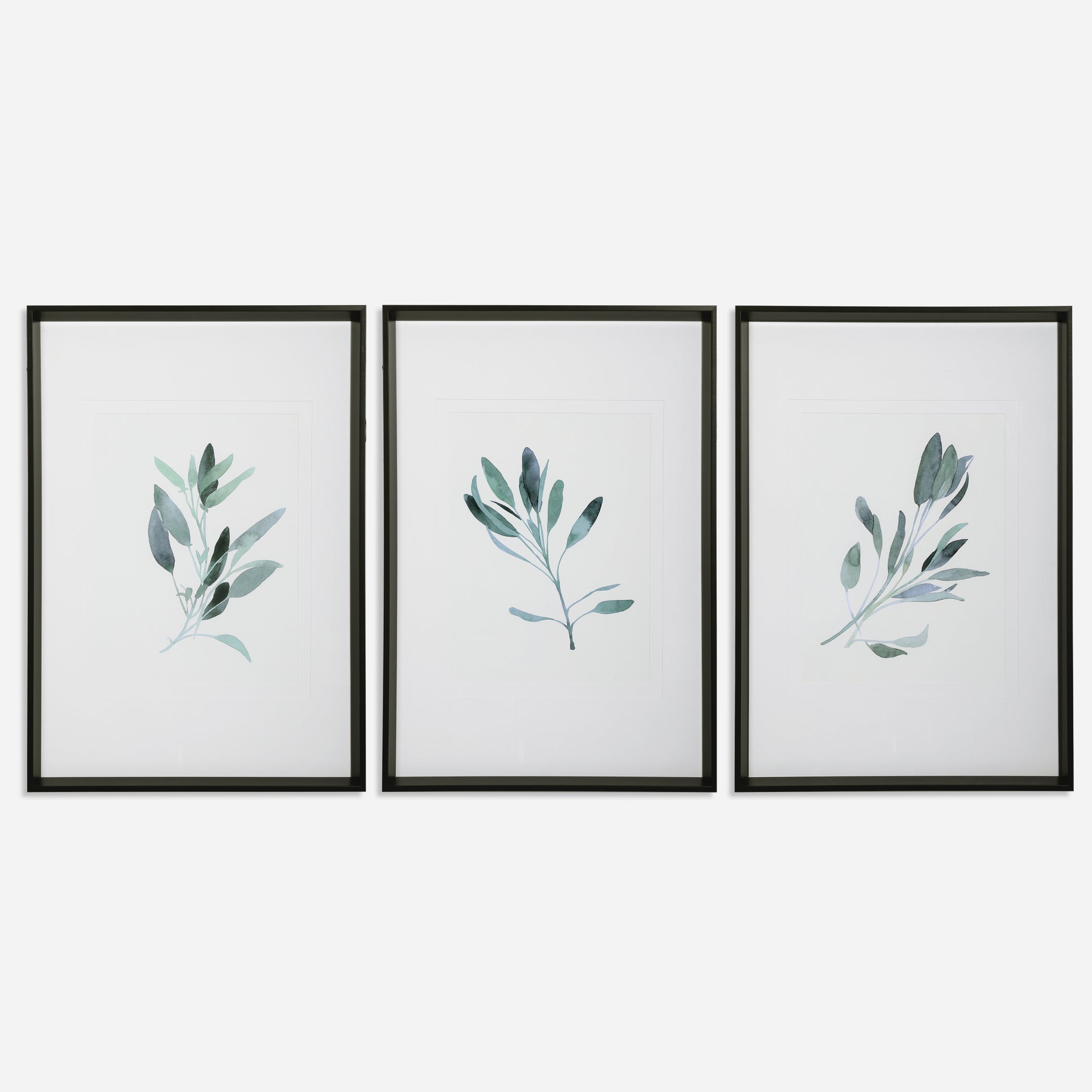 Uttermost Simple Sage Botanical Prints