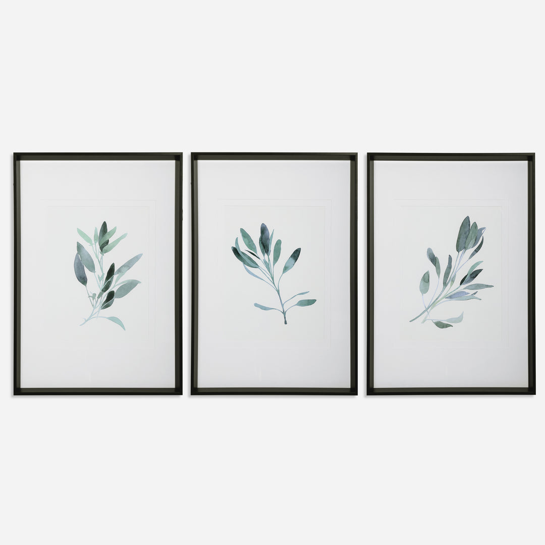 Uttermost Simple Sage Botanical Prints Wall Decor Uttermost   