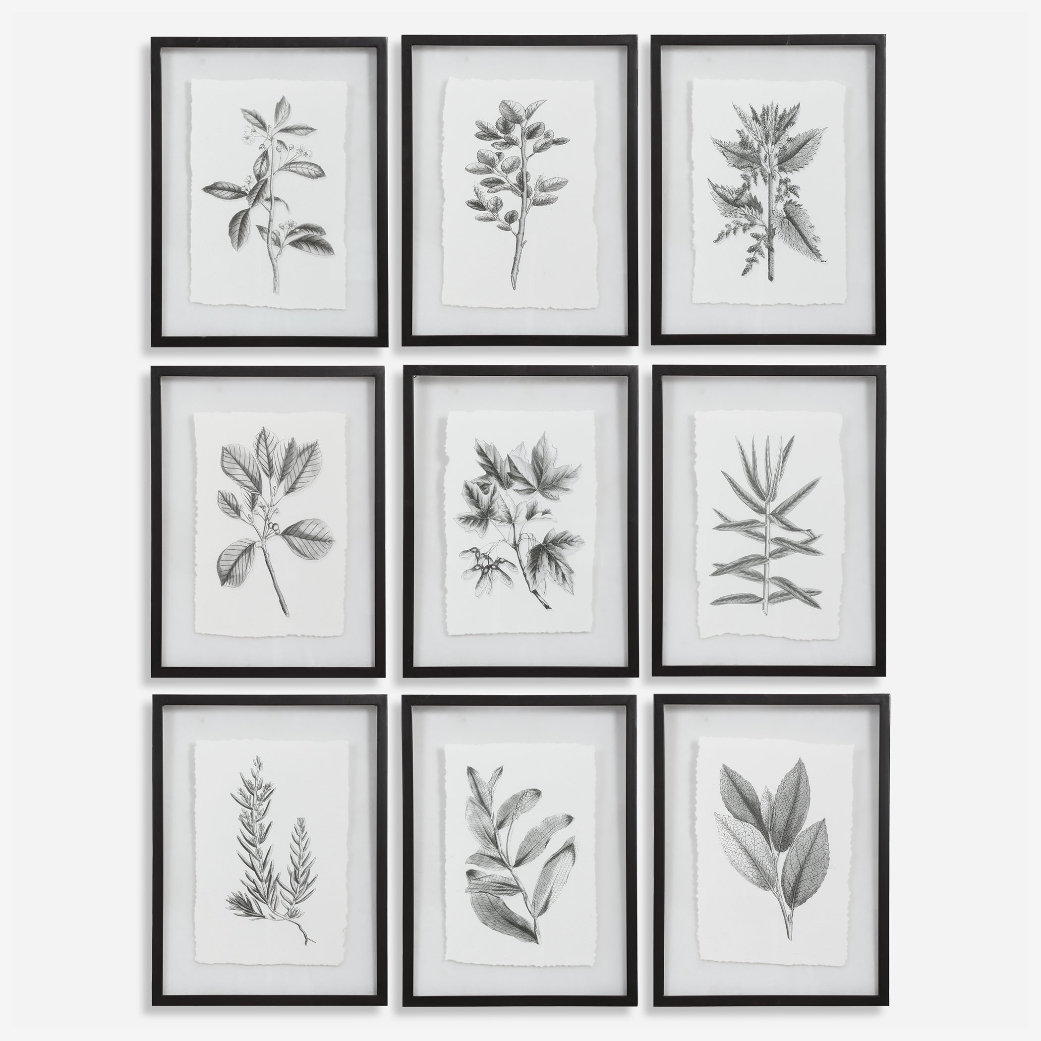 Uttermost Farmhouse Florals Botanical Prints