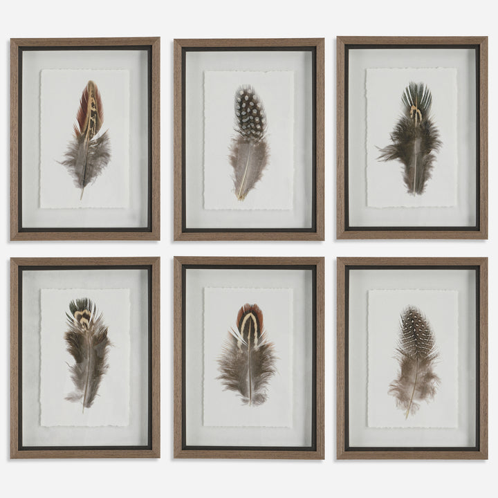 Uttermost Birds Of A Feather Framed Prints, S/6