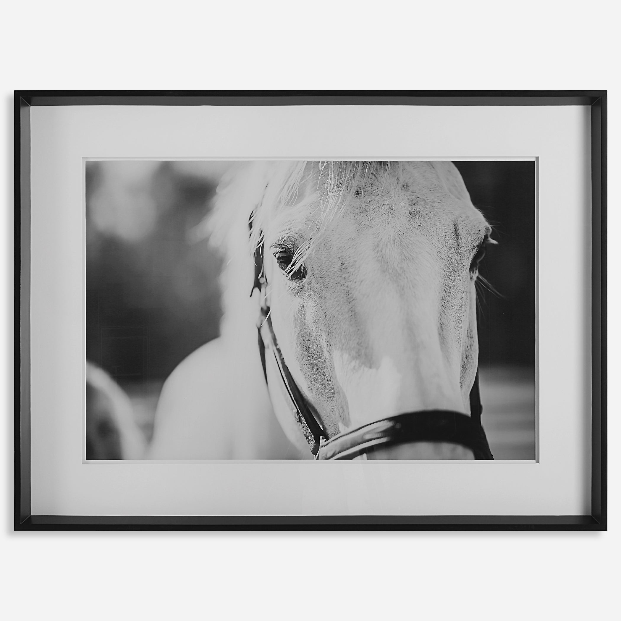 Uttermost Eyes On The Prize Horse Prints