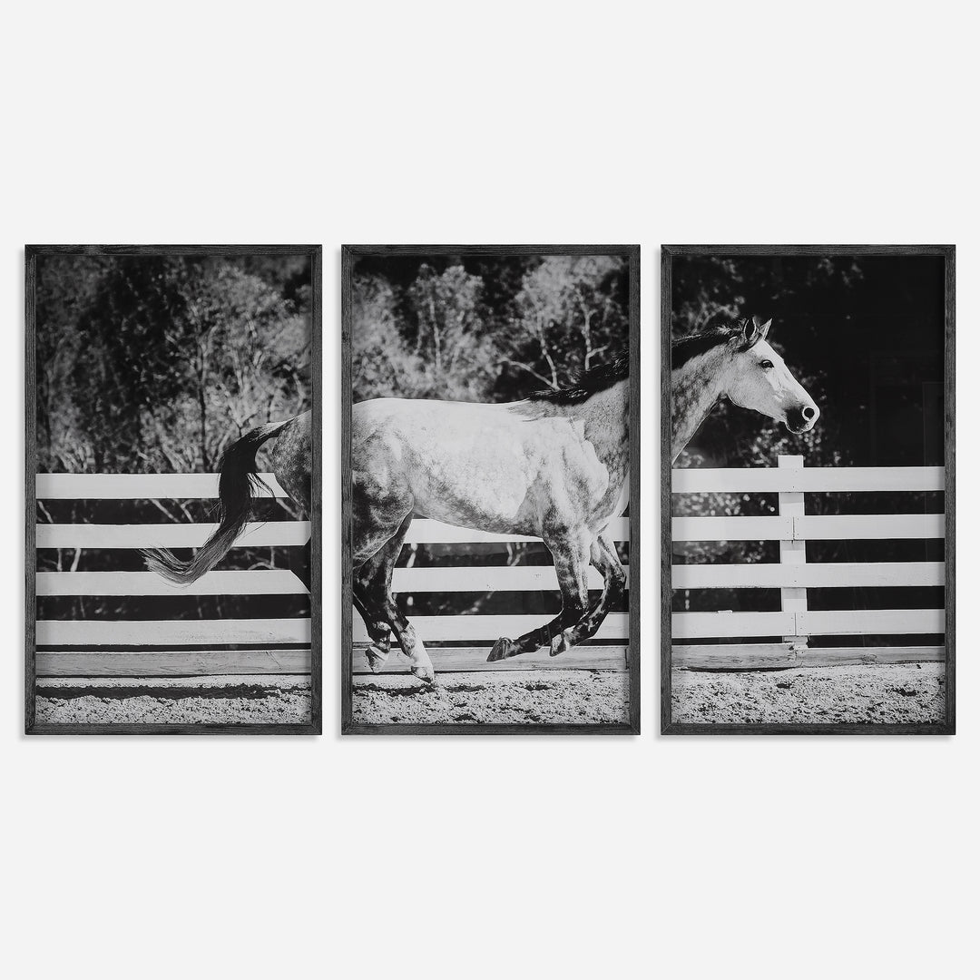 Uttermost Galloping Forward Framed Prints Wall Decor Uttermost   