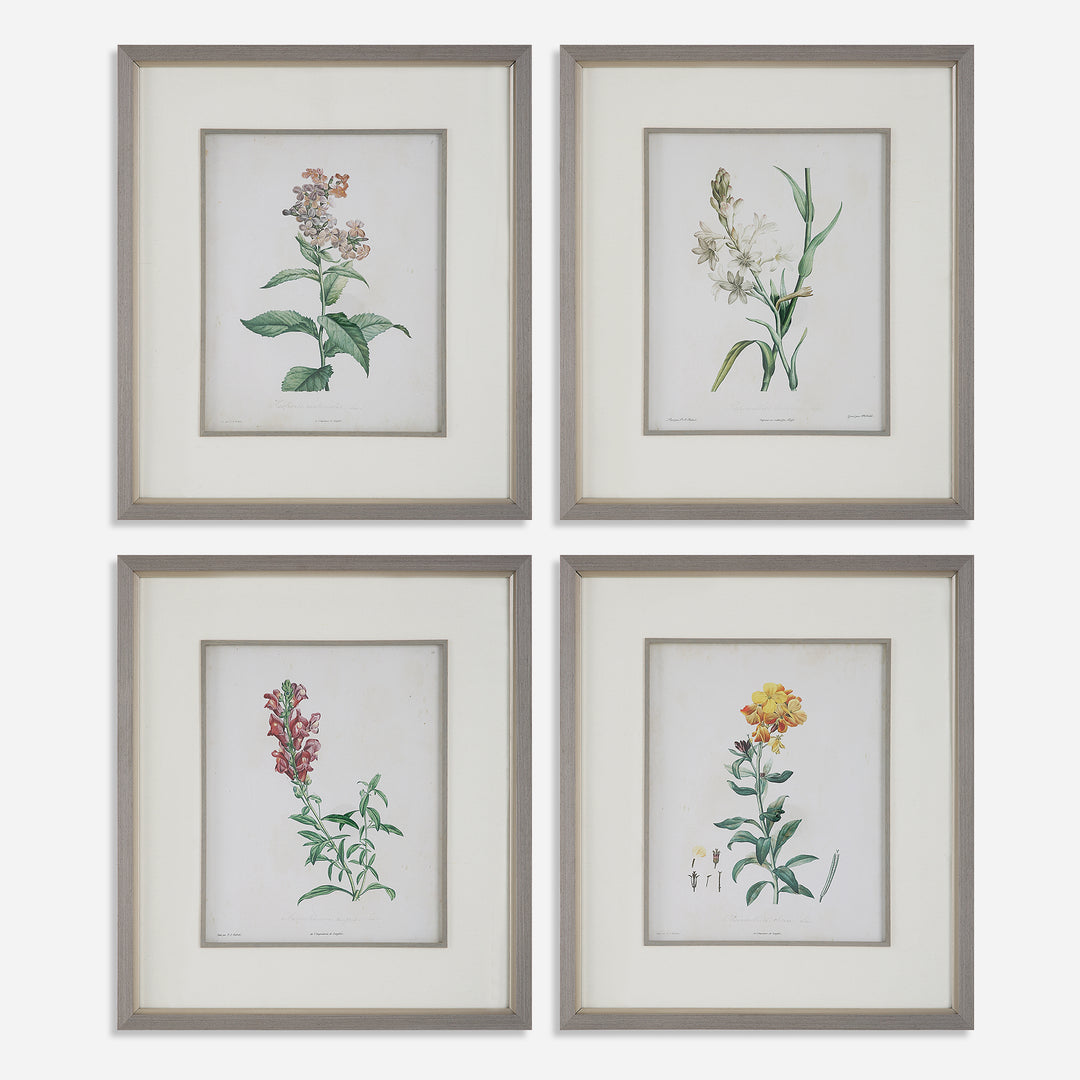 Uttermost Heirloom Blooms Botanical Prints