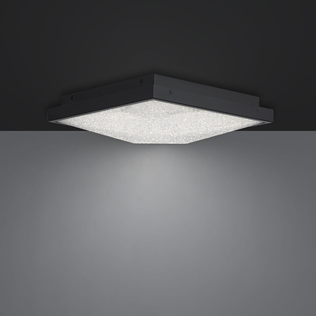 Schonbek Beyond Wisteria Flush Mount BFM46512-BK