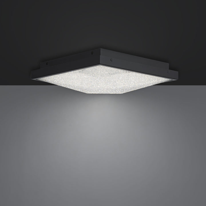 Schonbek Beyond Wisteria Flush Mount BFM46512-BK