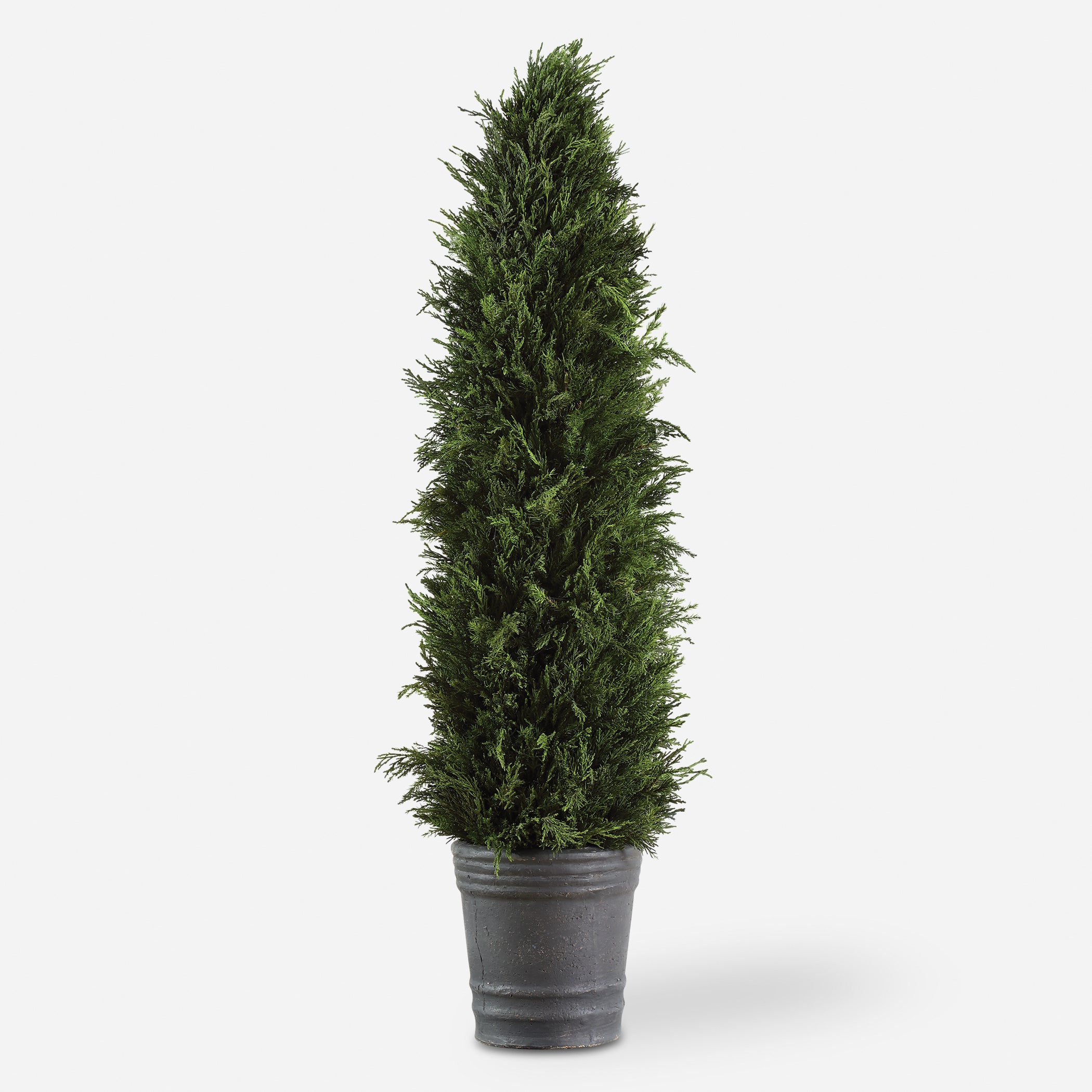 Uttermost Cypress Cone Trees-Greenery