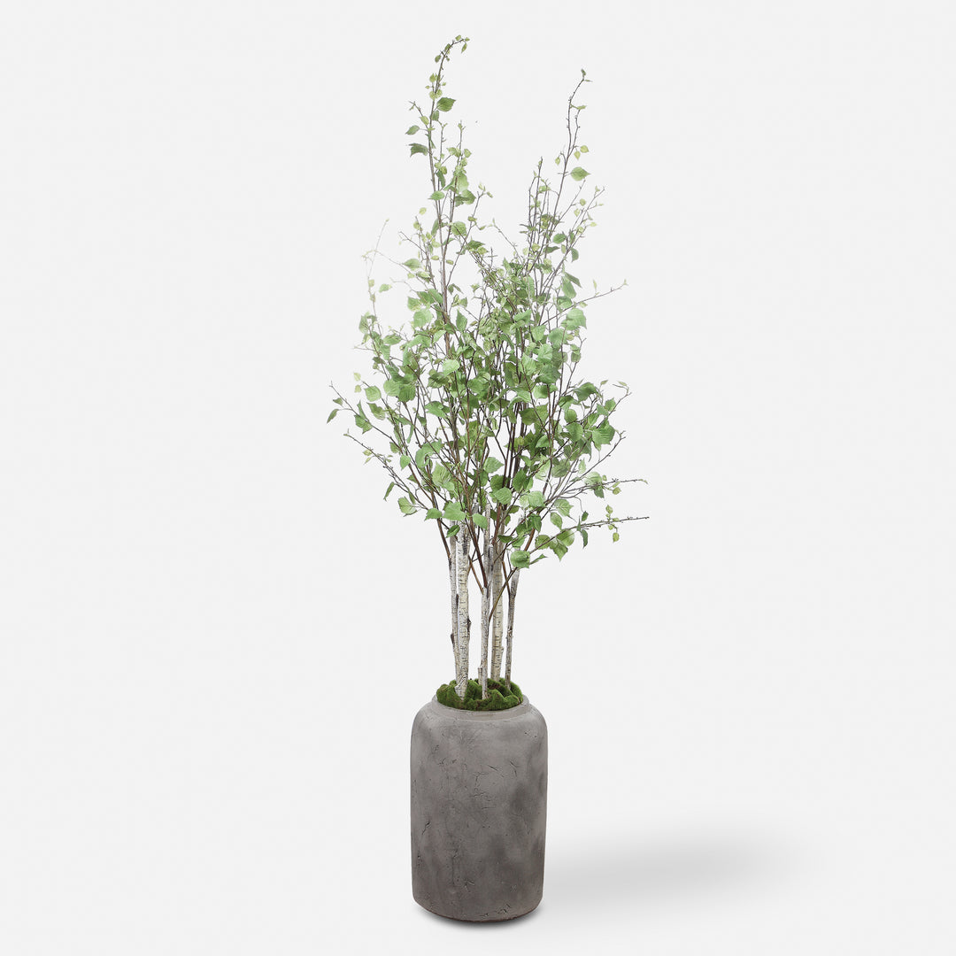 Uttermost Aldis Trees-Greenery